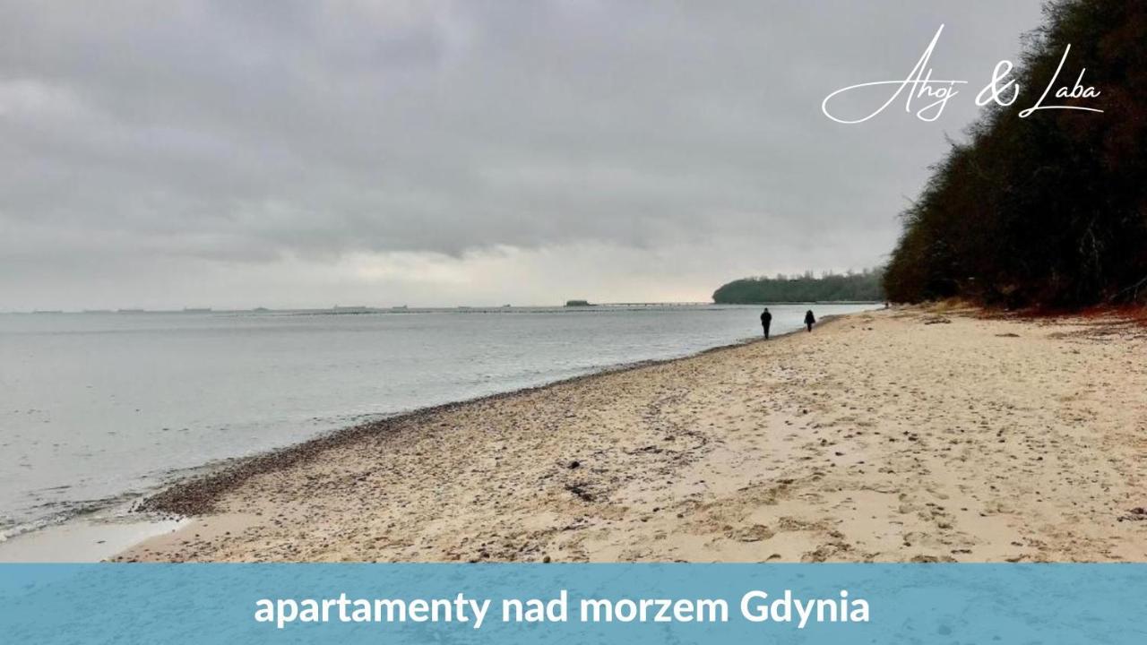 Laba - Basen, Blisko Plazy, Cisza, Taras, Parking, Bezplatne Wifi, Wyjatkowy! Appartement Gdynia Buitenkant foto