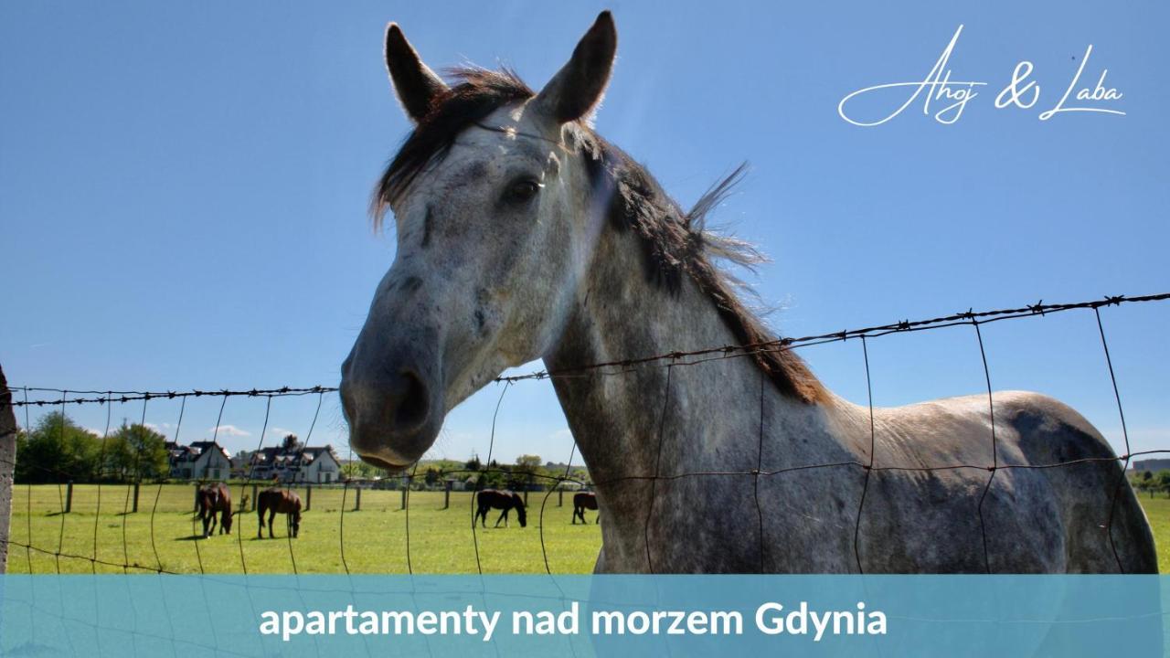 Laba - Basen, Blisko Plazy, Cisza, Taras, Parking, Bezplatne Wifi, Wyjatkowy! Appartement Gdynia Buitenkant foto