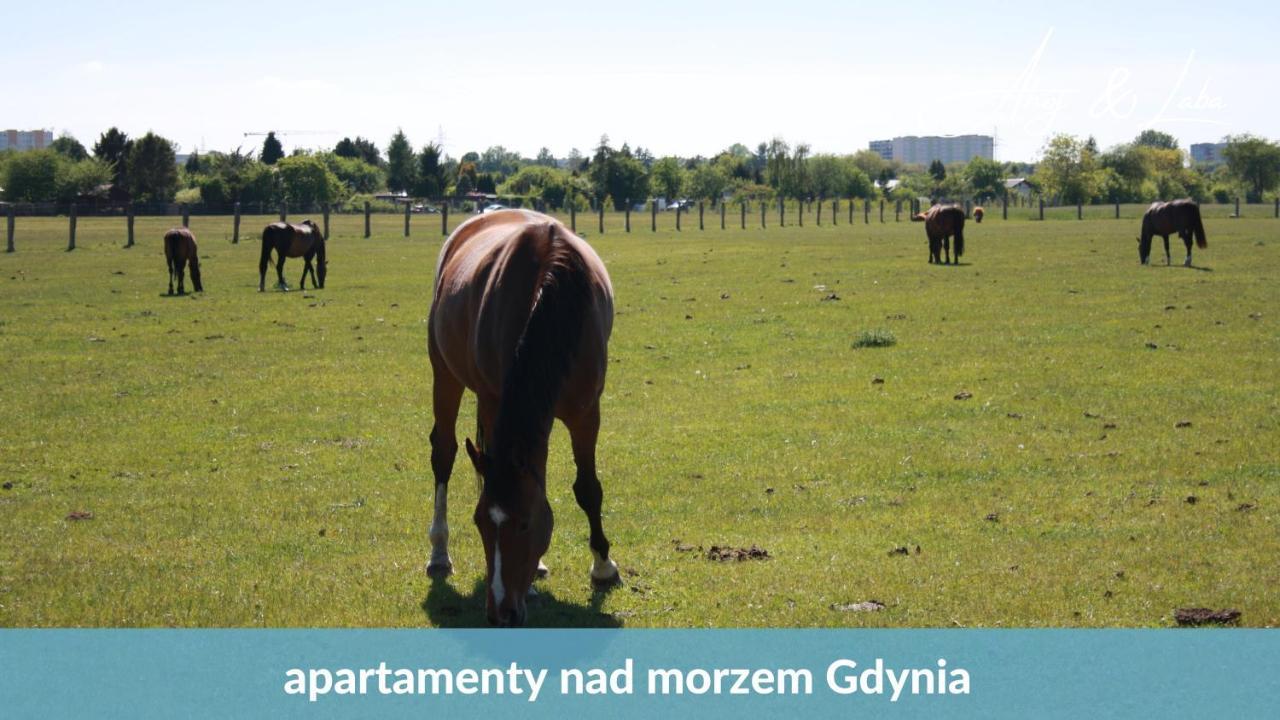 Laba - Basen, Blisko Plazy, Cisza, Taras, Parking, Bezplatne Wifi, Wyjatkowy! Appartement Gdynia Buitenkant foto